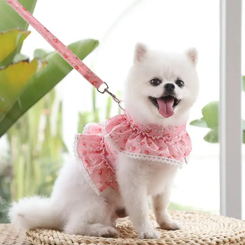 Dog or Cat Harness Leash Set cute dress harness