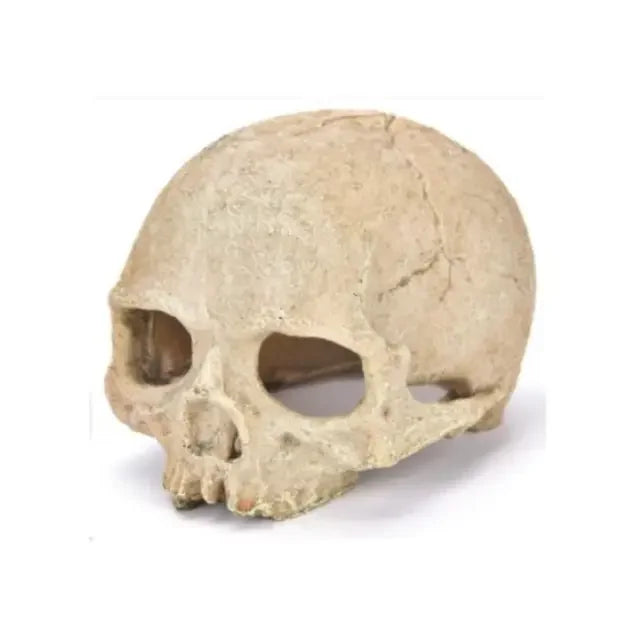Fish Tank Aquarium Skull Decoration and  Breeding House