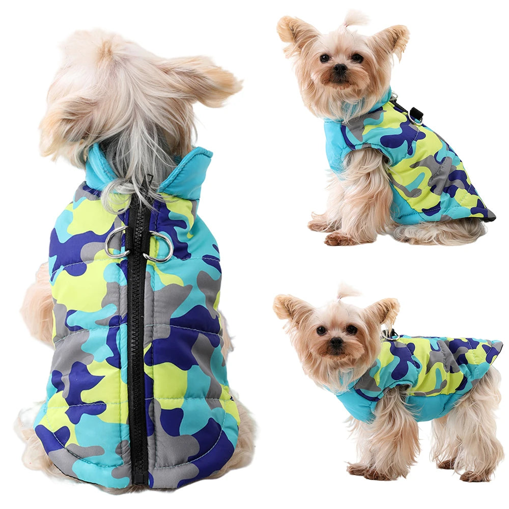 Small Dog Jacket Waterproof