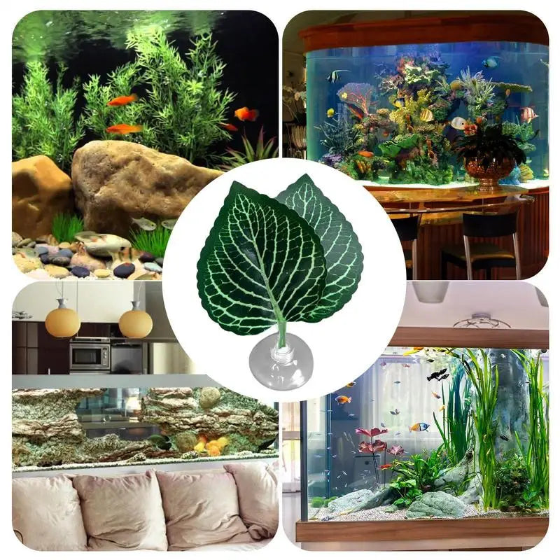 Aquarium fish Leaf Hammock