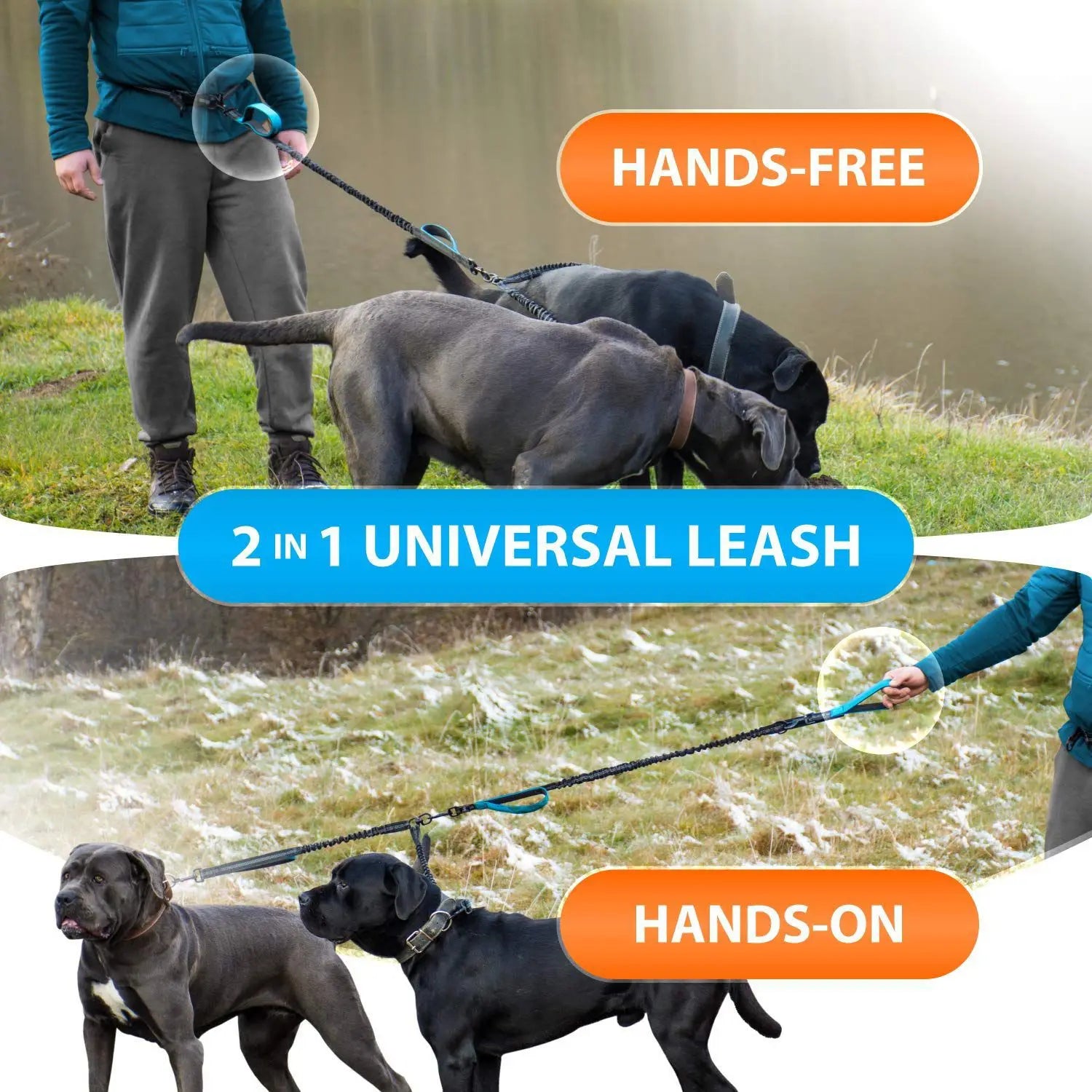 Explosion-Proof Short Elastic Buffer Pet Leash