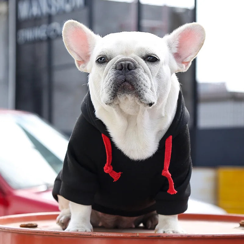 Dog Hoodie Small to Medium/ Large Dogs Winter Fleece