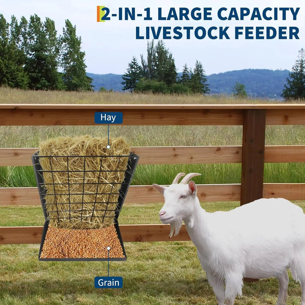 Wall Mount Hay & Grain Livestock Feeder