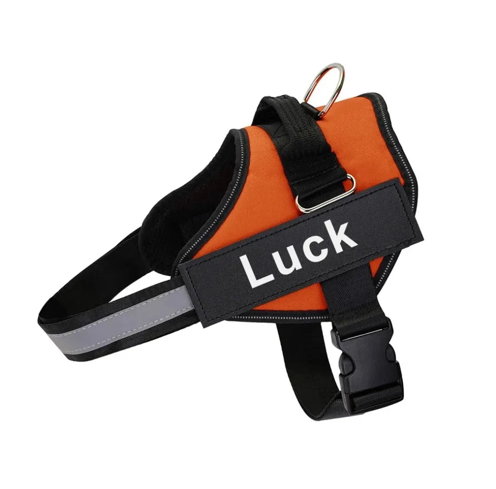 Reflective, No Pull personalized  Dog Harness