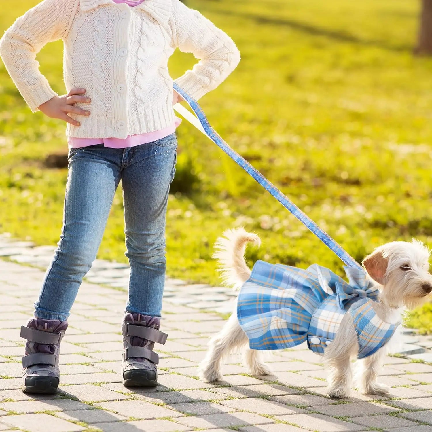 4-Piece Plaid Dog Dress Set with Bow Tie Harness & Leash