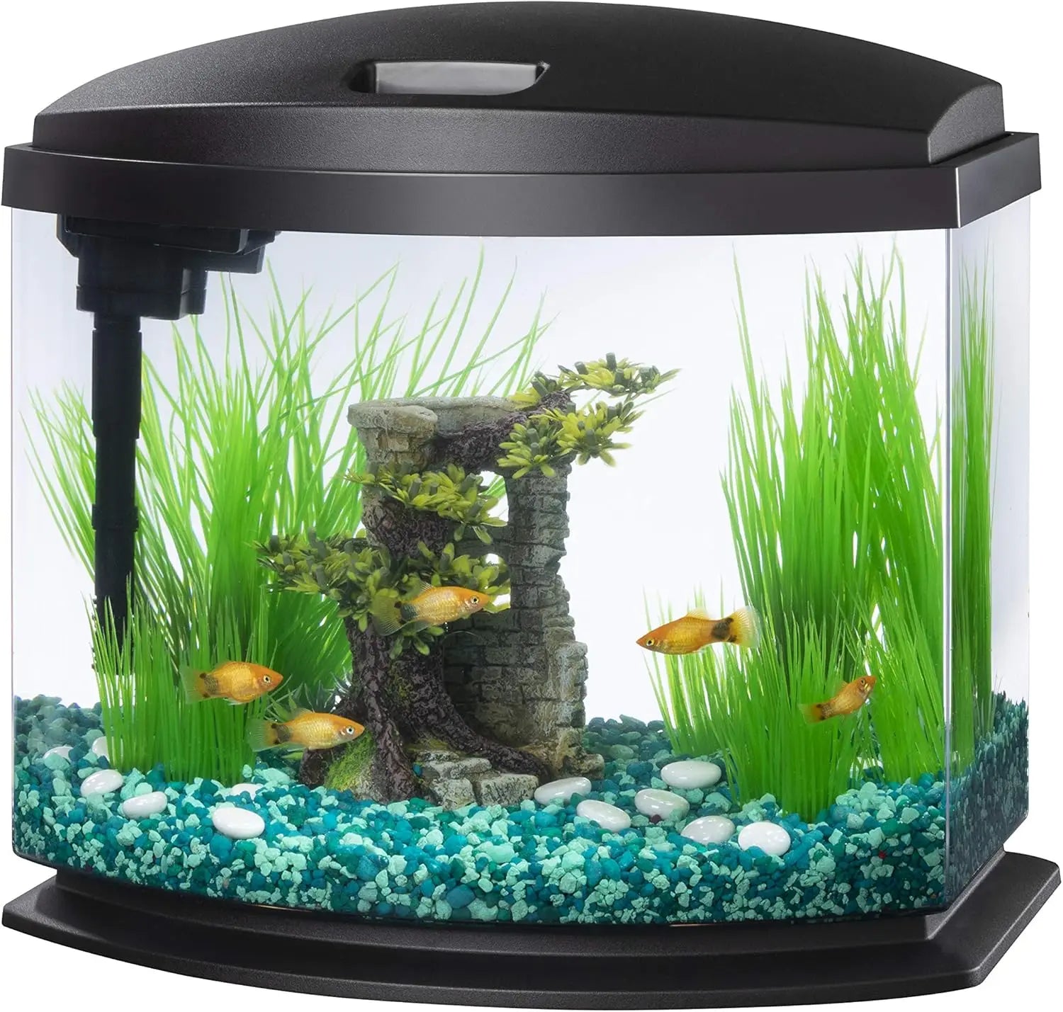 5 Gallon LED Mini Aquarium Fish Tank Kit with SmartClean Technology