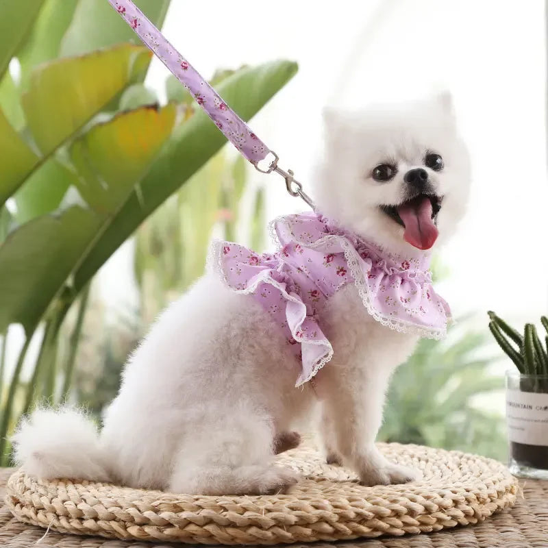 Dog or Cat Harness Leash Set cute dress harness