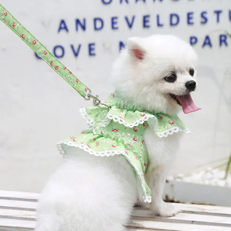 Dog or Cat Harness Leash Set cute dress harness