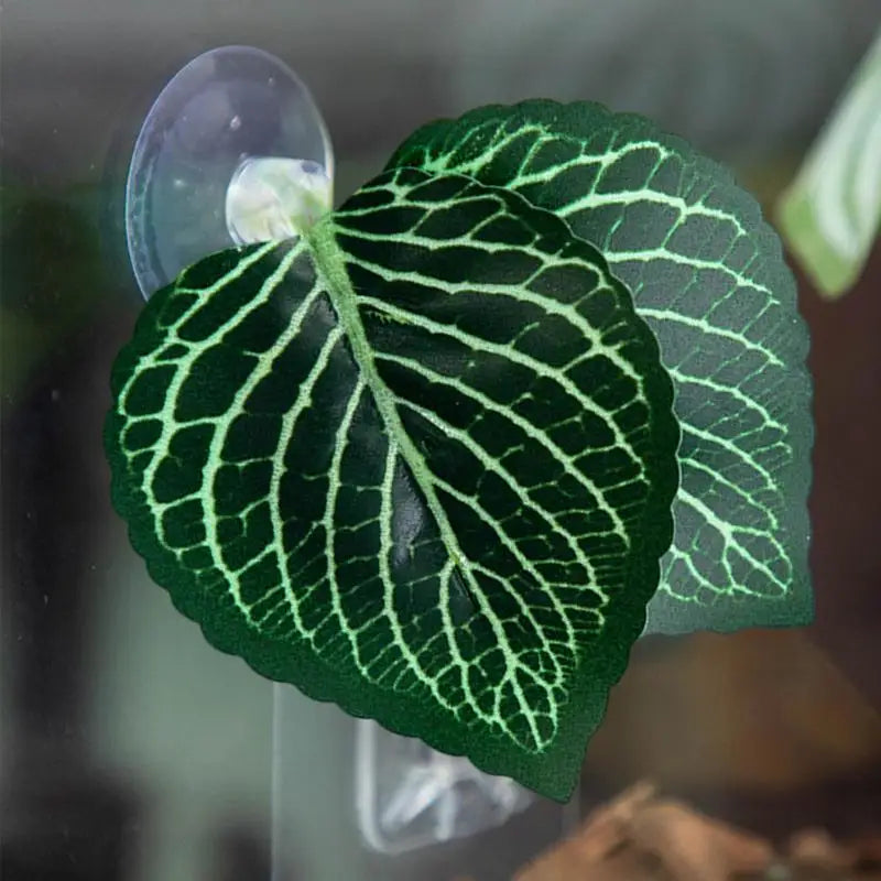 Aquarium fish Leaf Hammock
