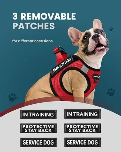 Lightweight Service Vest for Small Dogs