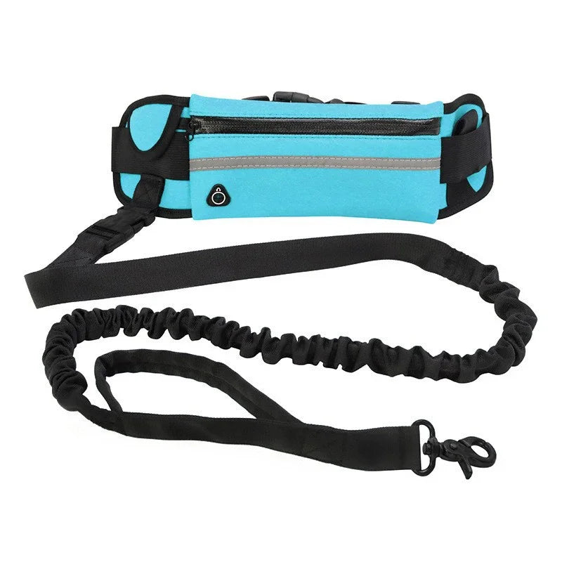 Hands Free Dog Leash for Running or Walking