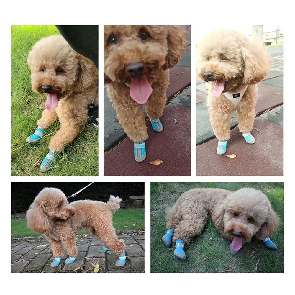 Dog Shoes/paw protectors Waterproof Small Medium Dogs for Hardwood Floors Anti Slip