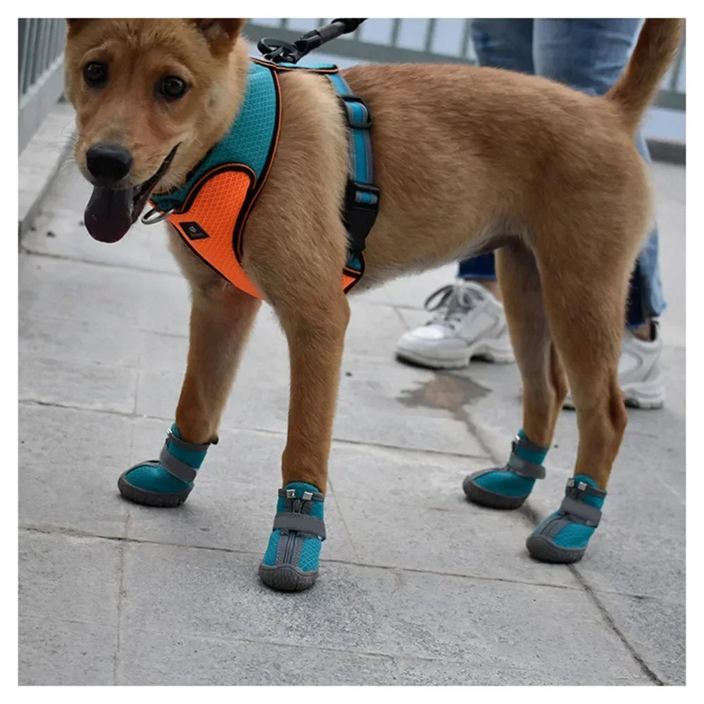 Dog Shoes/paw protectors Waterproof Small Medium Dogs for Hardwood Floors Anti Slip