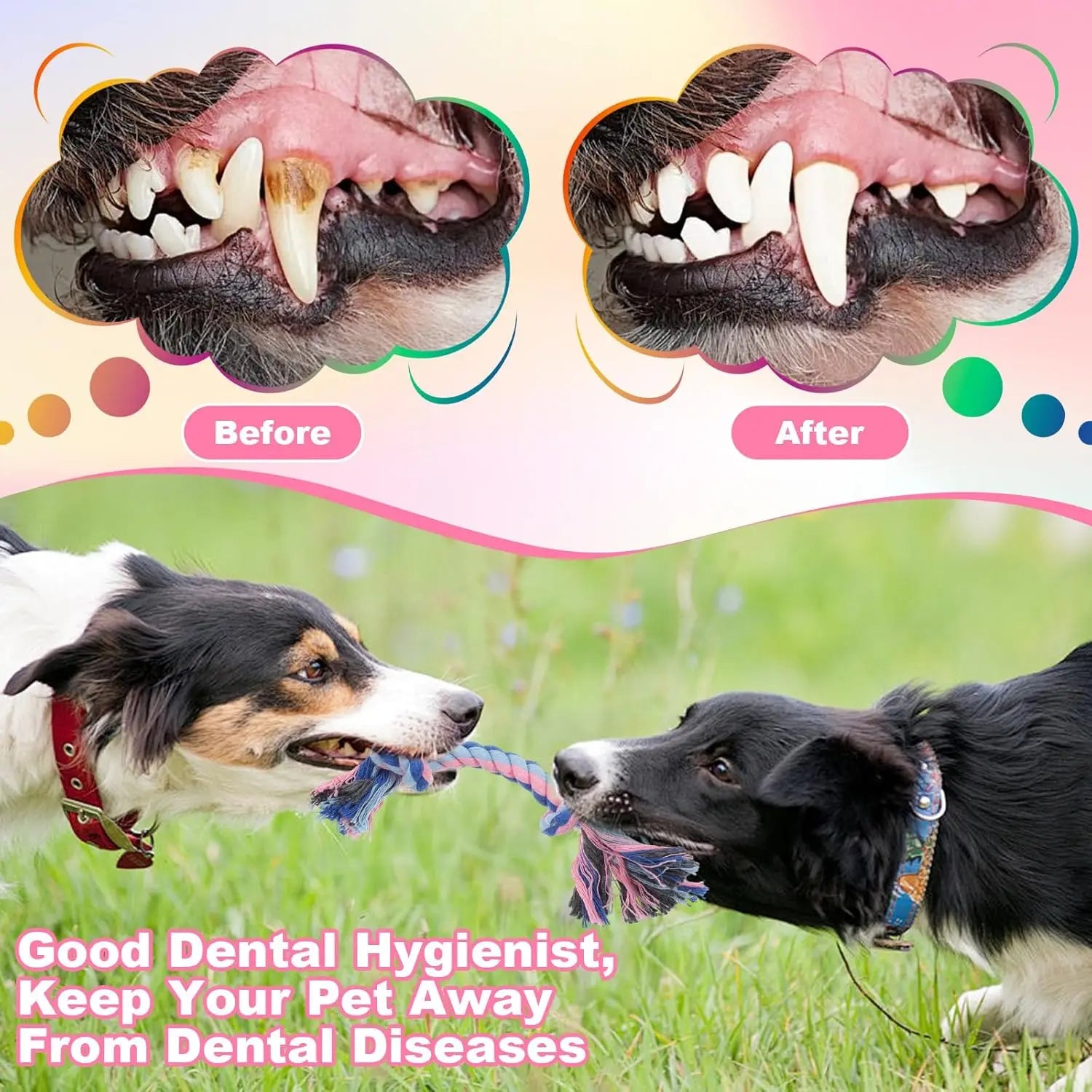 Interactive Braided Dog Chew Ropes