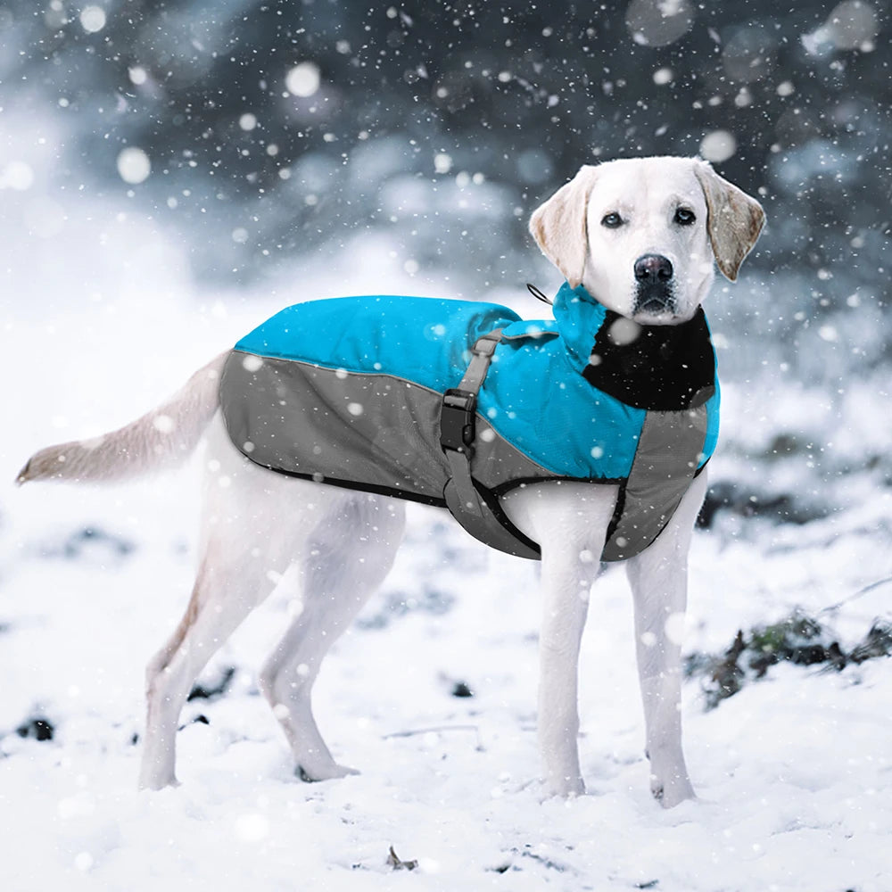 Waterproof Big, Warm Dog Jacket For Medium/ Large Dogs XL-6XL