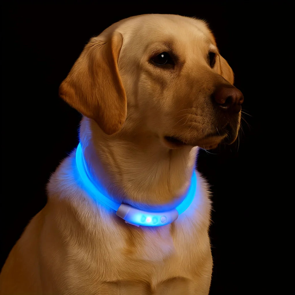 Safe Reflective LED Pet Collar