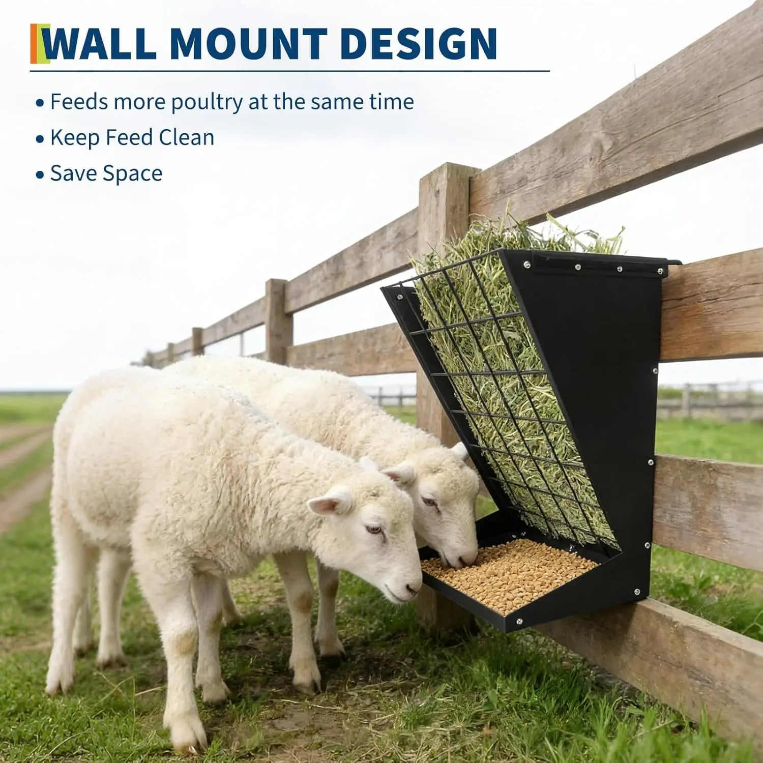 Wall Mount Hay & Grain Livestock Feeder