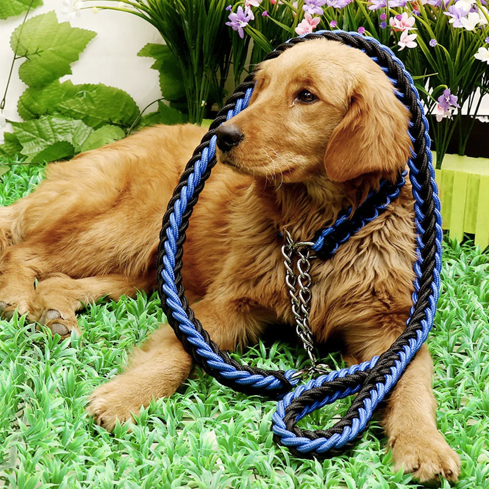 Nylon Braided Dog Collar And Leash