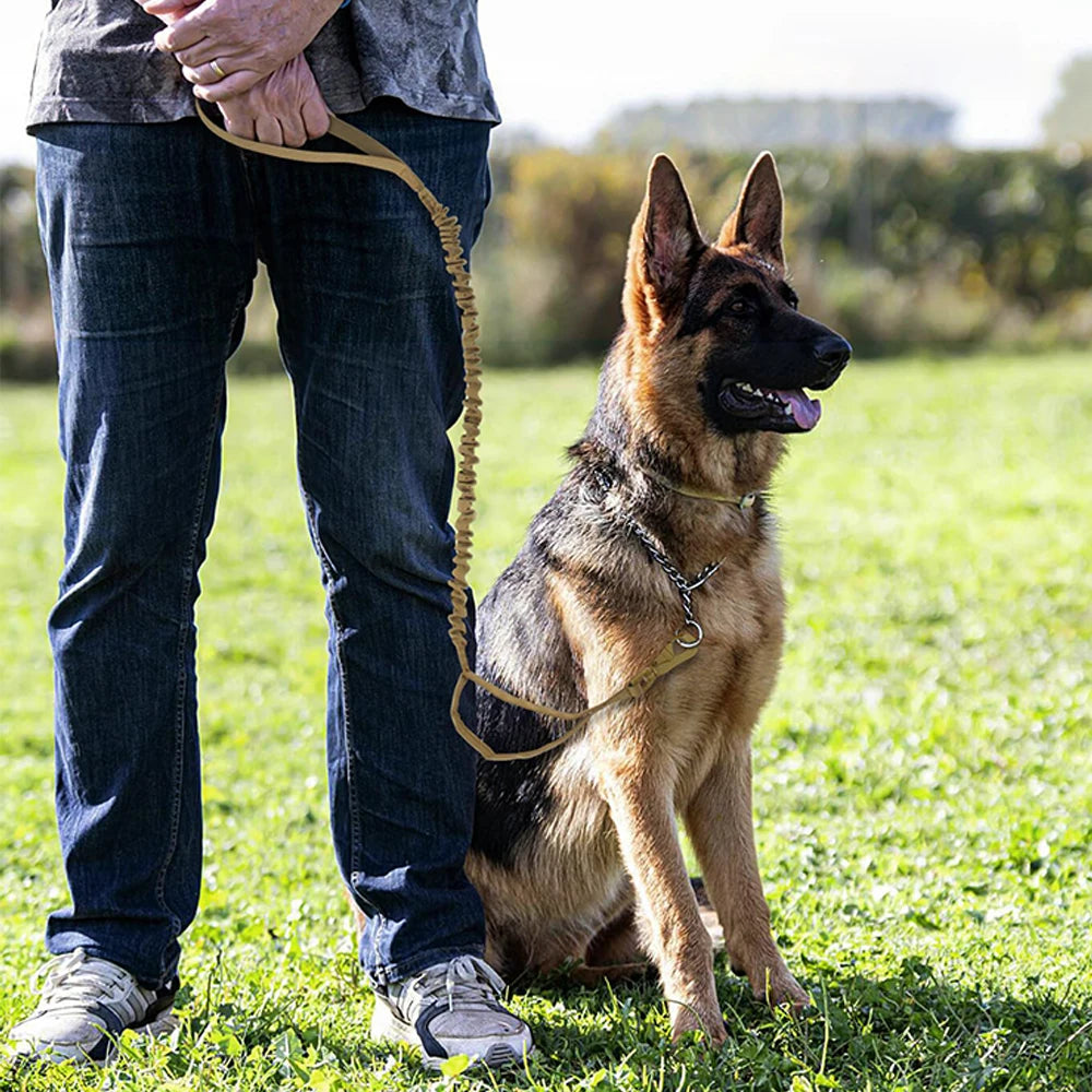 Military Dog Leashes, Adjustable, Quick Release