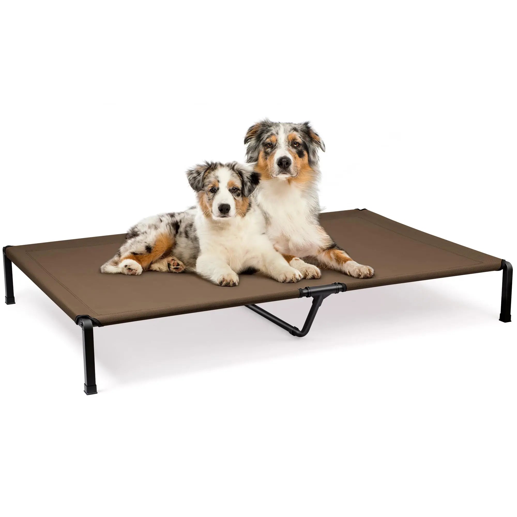 Elevated Dog Bed, Cooling Raised Pet Cot