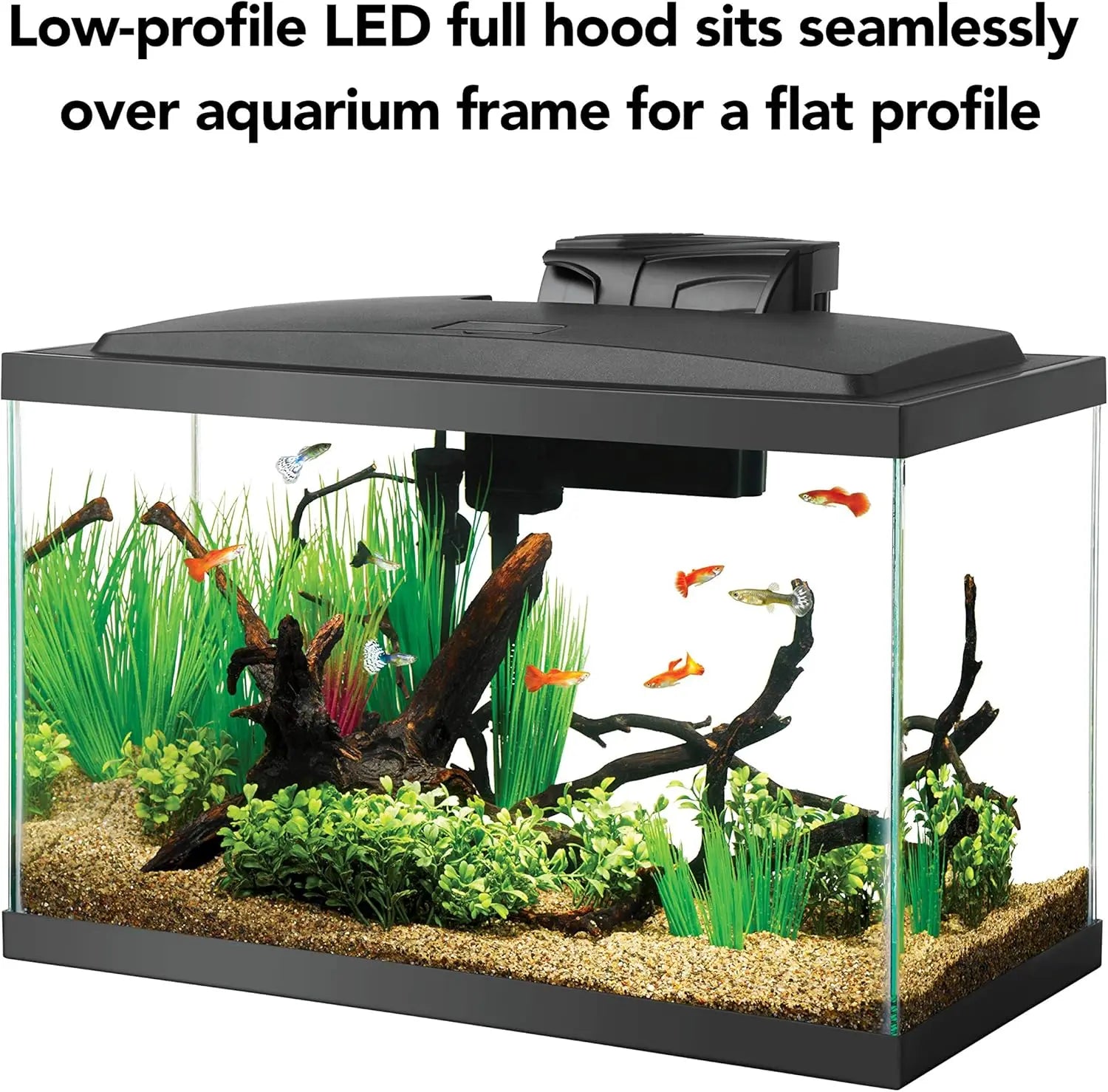 Complete 10 Gallon Aquarium Starter Kit with LED Lighting