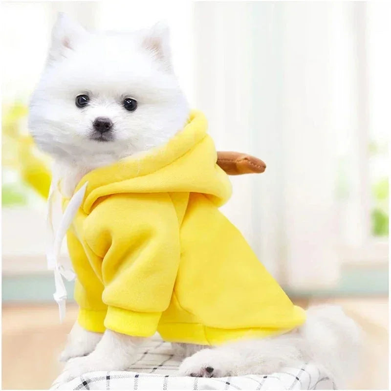 Warm Fleece pet costume; Dogs, cats Clothes Apple, Banana, Carrot, Fruit.